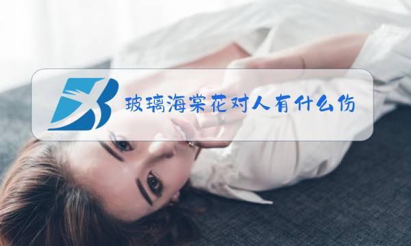 玻璃海棠花对人有什么伤害图片