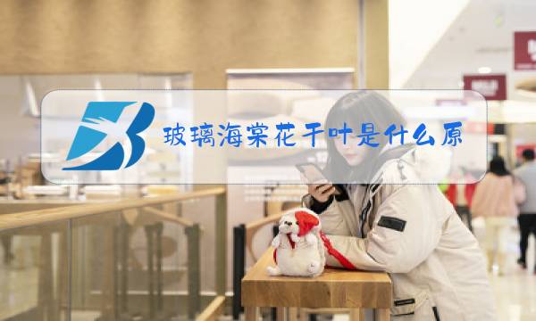 玻璃海棠花干叶是什么原因图片