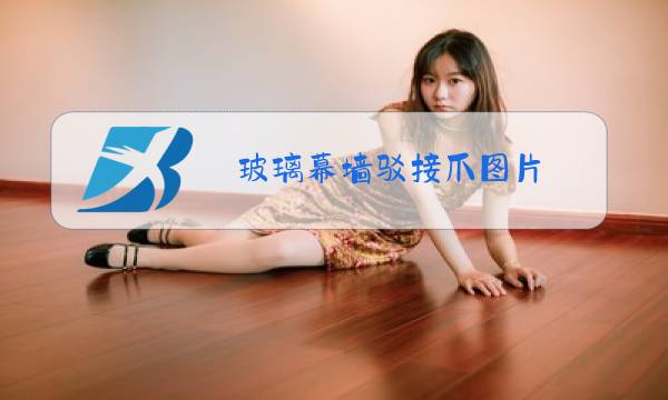 玻璃幕墙驳接爪图片图片