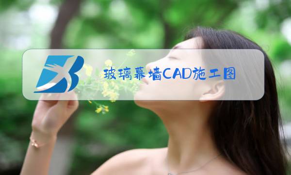 玻璃幕墙CAD施工图图片