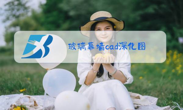 玻璃幕墙cad深化图图片