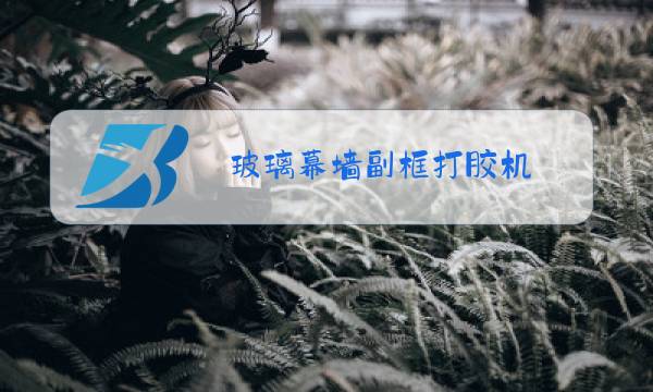 玻璃幕墙副框打胶机图片