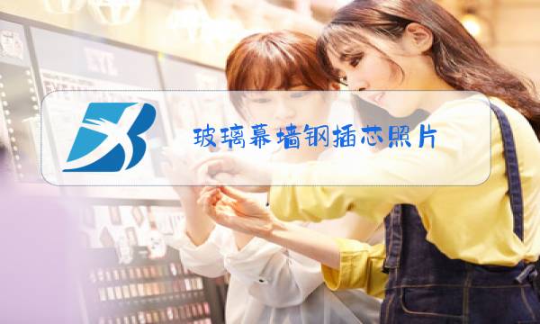 玻璃幕墙钢插芯照片图片