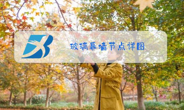 玻璃幕墙节点详图图片