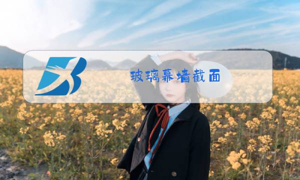 玻璃幕墙截面图片
