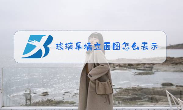 玻璃幕墙立面图怎么表示图片