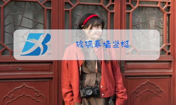 玻璃幕墙竖梃图片