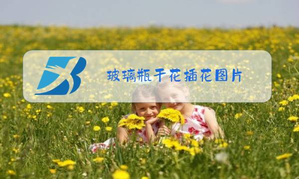 玻璃瓶干花插花图片图片