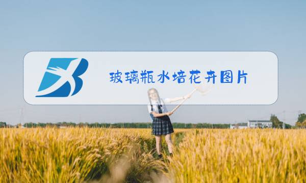 玻璃瓶水培花卉图片图片