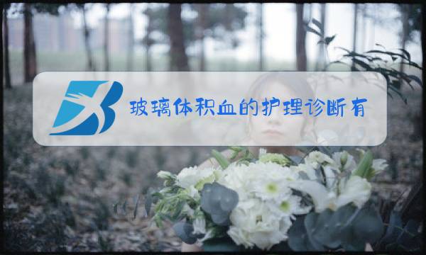 玻璃体积血的护理诊断有哪些图片