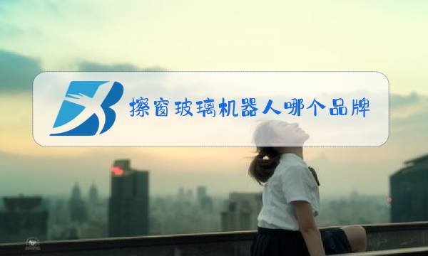 擦窗玻璃机器人哪个品牌的好?图片