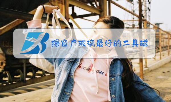 擦窗户玻璃最好的工具磁力擦窗器图片