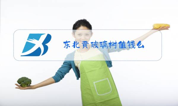 东北黄玻璃树值钱么图片