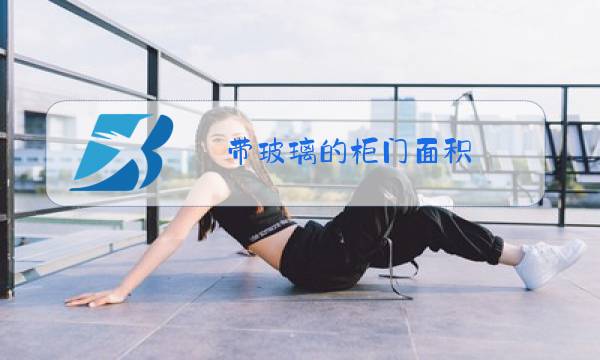 带玻璃的柜门面积图片