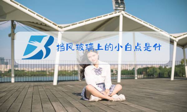 挡风玻璃上的小白点是什么图片