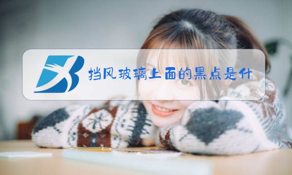 挡风玻璃上面的黑点是什么图片