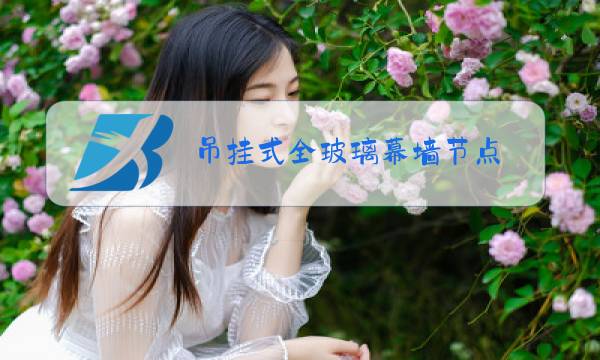 吊挂式全玻璃幕墙节点图片