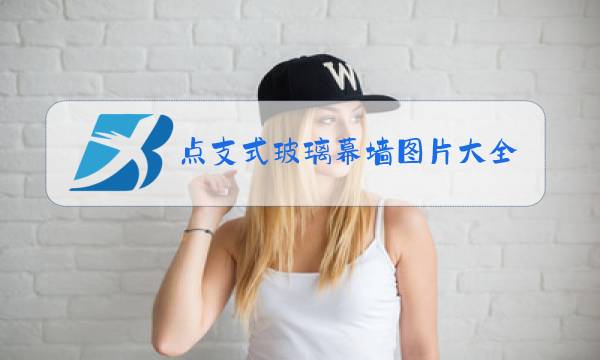 点支式玻璃幕墙图片大全图片