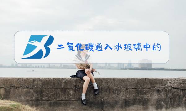 二氧化碳通入水玻璃中的化学方程式图片