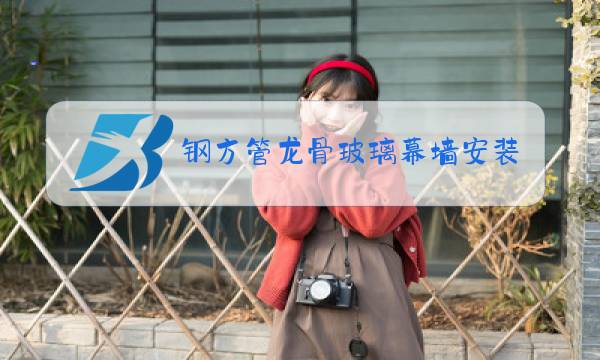 钢方管龙骨玻璃幕墙安装方案图片