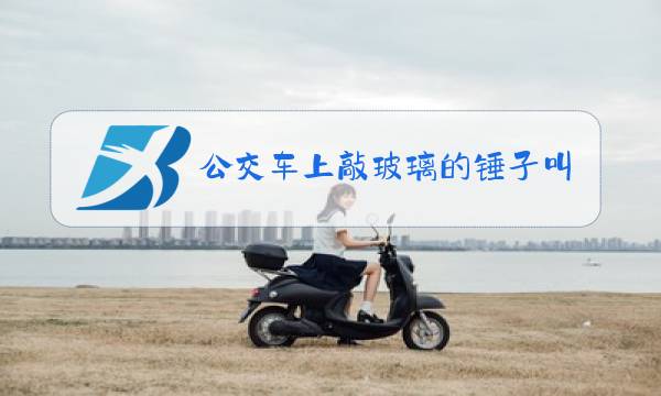 公交车上敲玻璃的锤子叫什么图片