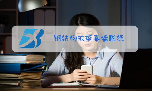 钢结构玻璃幕墙图纸图片