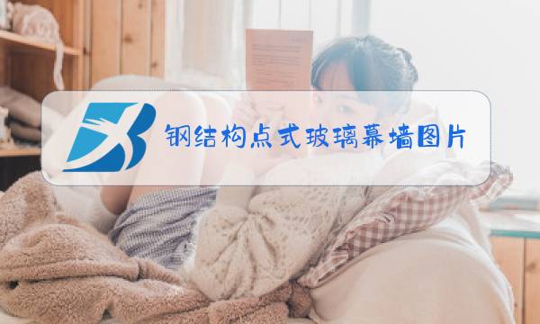 钢结构点式玻璃幕墙图片图片