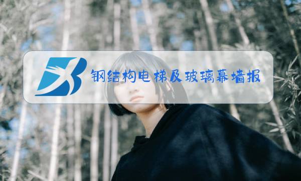 钢结构电梯及玻璃幕墙报价图片