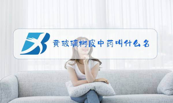 黄玻璃树皮中药叫什么名字?图片