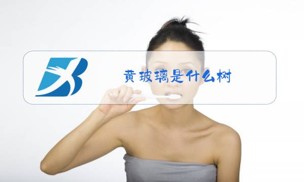 黄玻璃是什么树图片