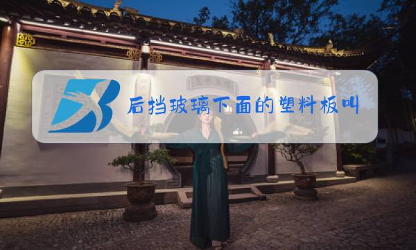 后挡玻璃下面的塑料板叫什么图片