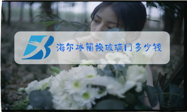 海尔冰箱换玻璃门多少钱图片