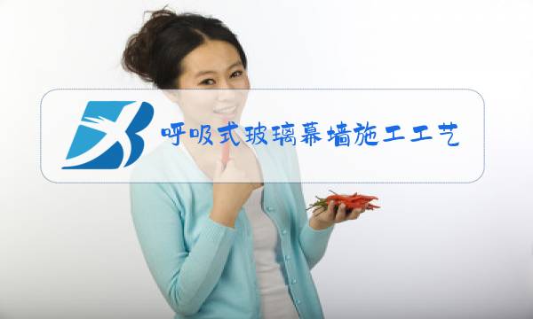 呼吸式玻璃幕墙施工工艺图片