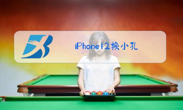 iPhone12换小孔后玻璃图片