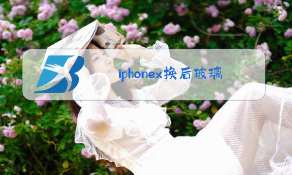 iphonex换后玻璃多少钱?图片