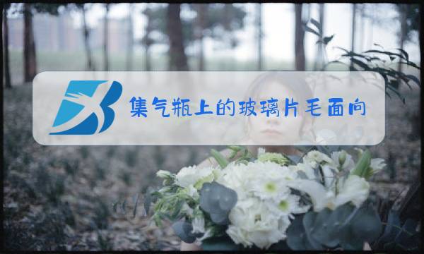 集气瓶上的玻璃片毛面向上恒向线图片
