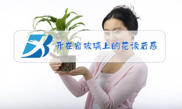 开在窗玻璃上的花读后感300图片