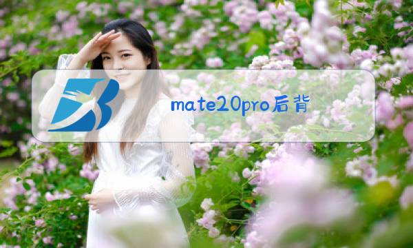 mate20pro后背玻璃更换图片