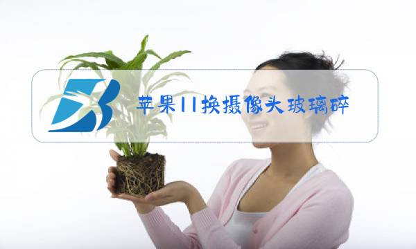苹果11换摄像头玻璃碎了图片