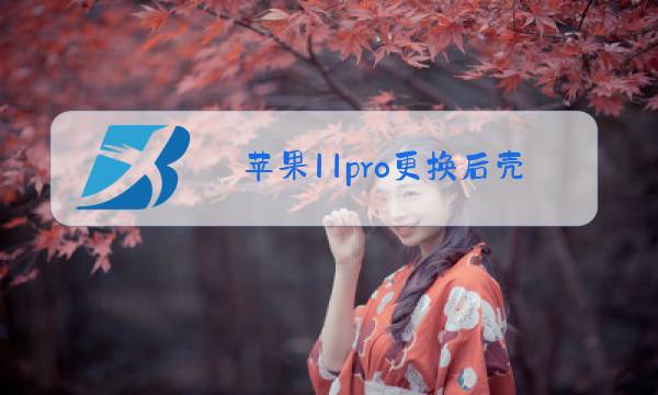 苹果11pro更换后壳玻璃视频图片