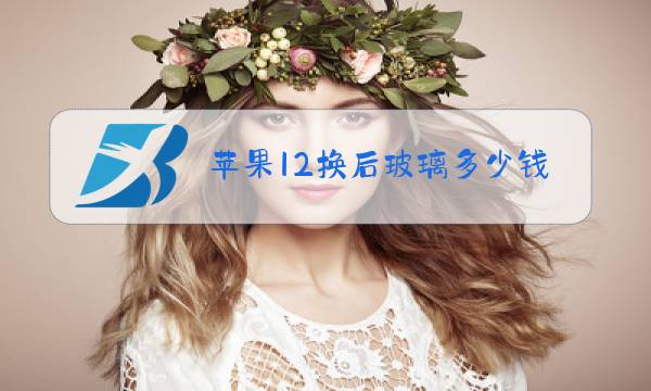 苹果12换后玻璃多少钱图片