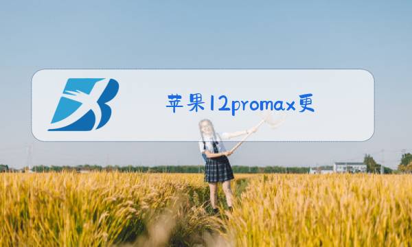 苹果12promax更换后玻璃图片