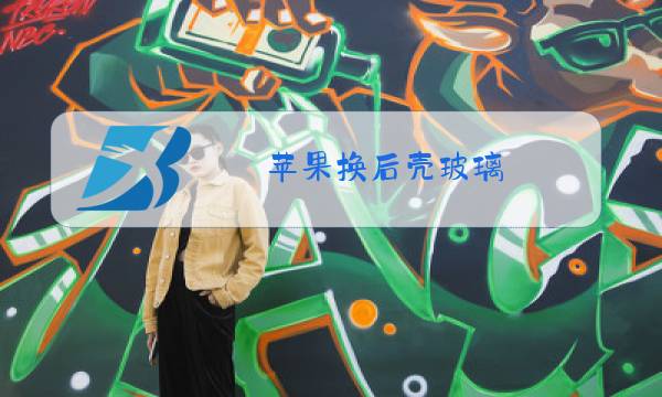 苹果换后壳玻璃图片