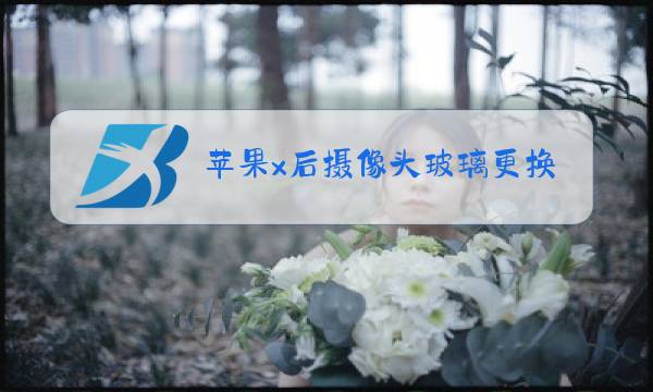 苹果x后摄像头玻璃更换价格图片