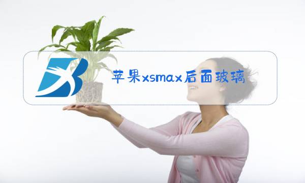 苹果xsmax后面玻璃碎了建议换吗图片