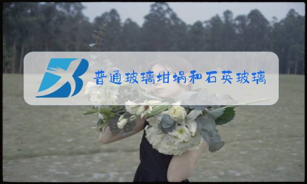 普通玻璃坩埚和石英玻璃坩埚的区别图片