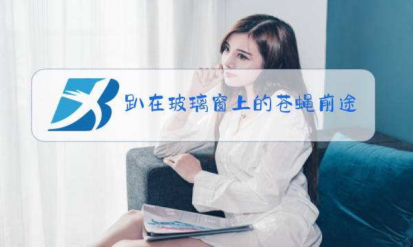 趴在玻璃窗上的苍蝇前途一片光明图片