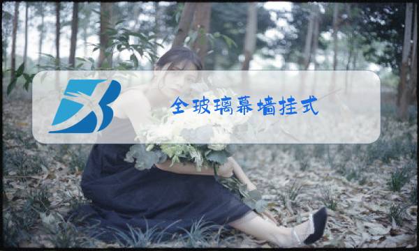 全玻璃幕墙挂式图片