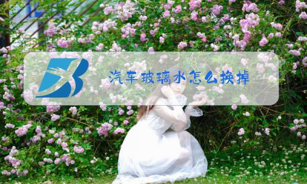 汽车玻璃水怎么换掉图片