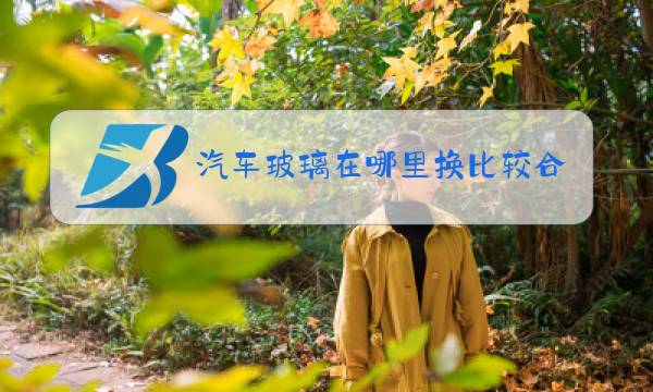 汽车玻璃在哪里换比较合适图片